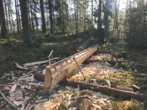 Frej Wike och Mattias Hallgren hugger fram en tro-hållbräda